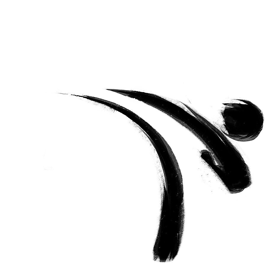 Taekwondo Maishofen
